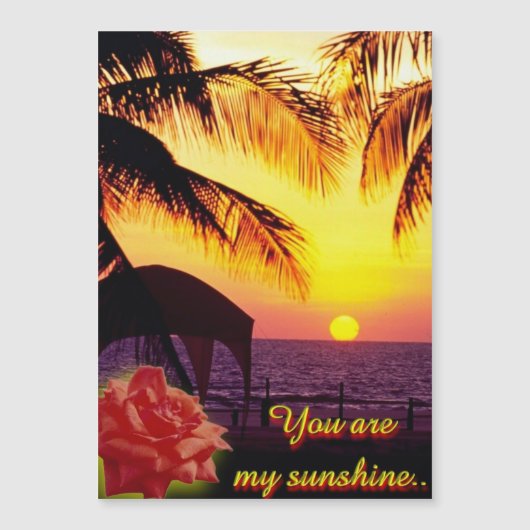 サンシャインラブ (正面)