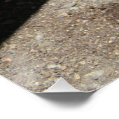 サンシャインラブ… ポスター (コーナー)