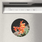 サンシャインラブ… マグネット (インサイチュ (食洗機))