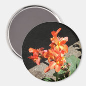 サンシャインラブ… マグネット (正面/裏面)