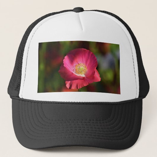 サンシャイン写真のピンクのポピー キャップ (正面)
