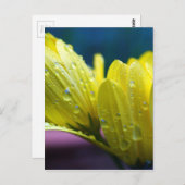 サンシャイン・アフター・ザ・レイン写真 ポストカード (正面/裏面)