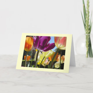 サンシャイン カード