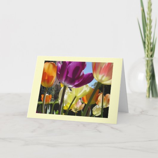 サンシャイン カード (正面)