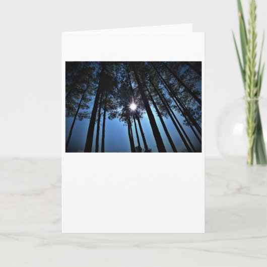 サンシャイン、カード カード (正面)