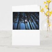 サンシャイン、カード カード (黄色い花)