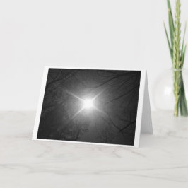 サンシャイン – ノワール、カード カード