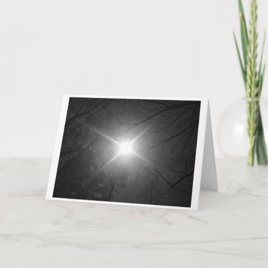 サンシャイン – ノワール、カード カード (正面)