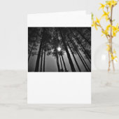 サンシャイン/ノワール,カード カード (黄色い花)