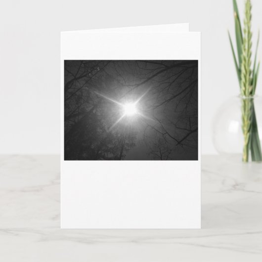 サンシャイン – ノワール、カード カード (正面)