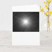 サンシャイン – ノワール、カード カード (黄色い花)