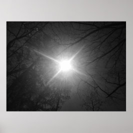 サンシャイン – ノワール、 ポスター