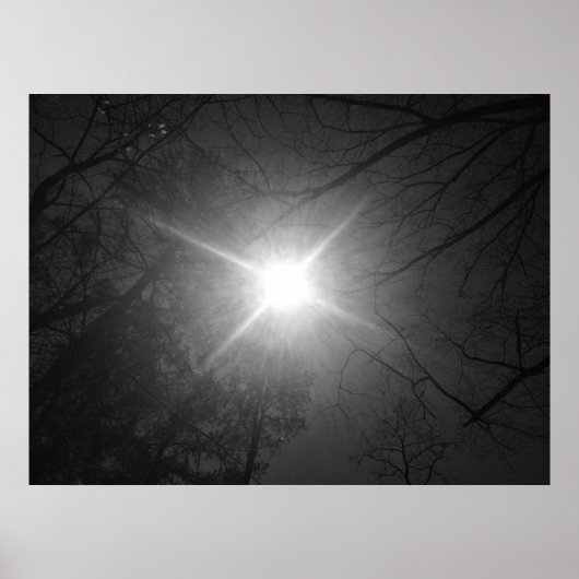 サンシャイン – ノワール、 ポスター (正面)