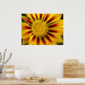 サンシャイン ポスター (キッチン)