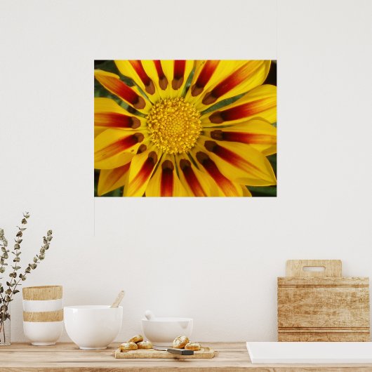 サンシャイン ポスター (キッチン)