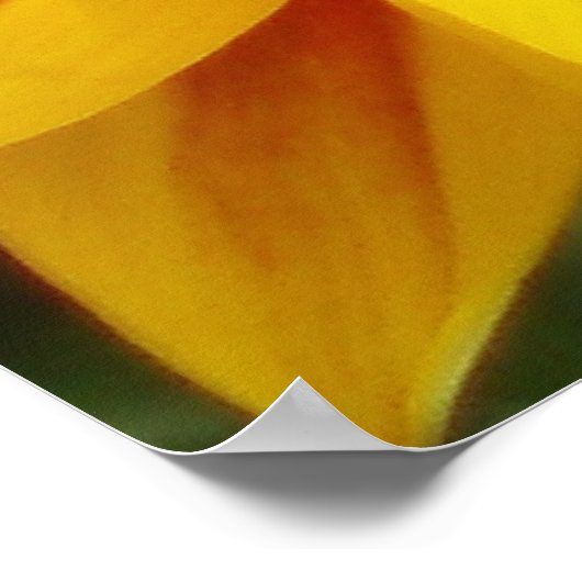 サンシャイン ポスター (角)