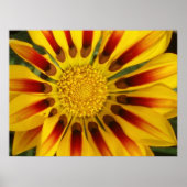 サンシャイン ポスター (正面)