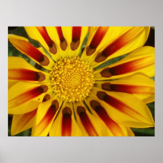 サンシャイン ポスター