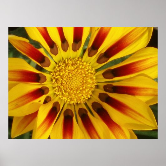 サンシャイン ポスター (正面)