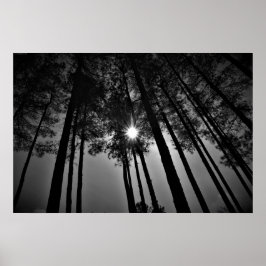 サンシャイン ポスター