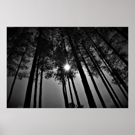 サンシャイン ポスター (正面)