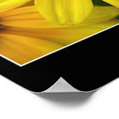 サンシャイン ポスター (角)