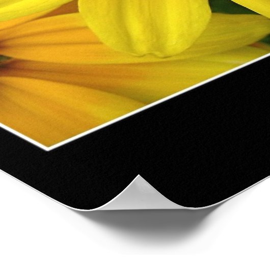 サンシャイン ポスター (角)