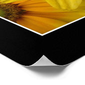 サンシャインII ポスター (角)