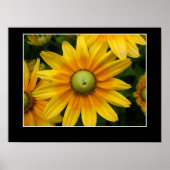 サンシャインII ポスター (正面)