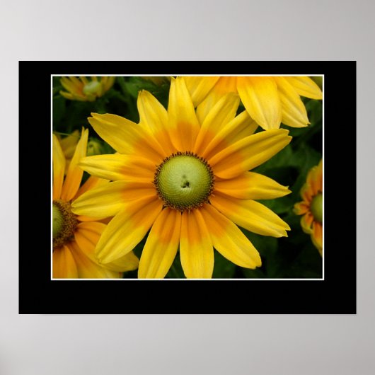 サンシャインII ポスター (正面)