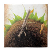 サンシャイ祈ン用 タイル (正面)