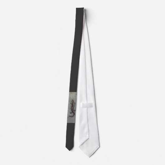 サンショウウオ ネクタイ (裏面)