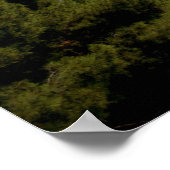 サンジャンキャップフェラート ポスター (角)