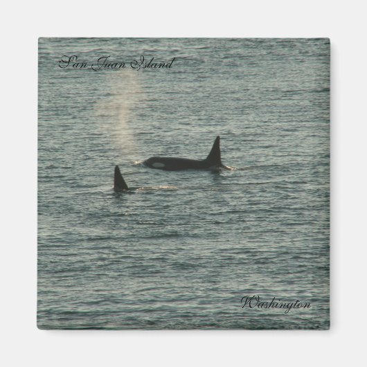 サンジュアン マグネット (正面)