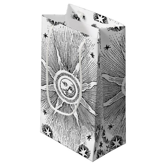 サンスターズアンティークナイトスカイ中世〔占星術の〕十二宮図 スモールペーパーバッグ (正面アングル)