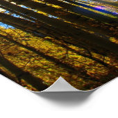 サンスター ポスター (角)