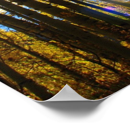 サンスター ポスター (角)