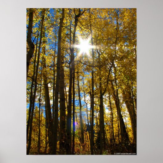 サンスター ポスター (正面)