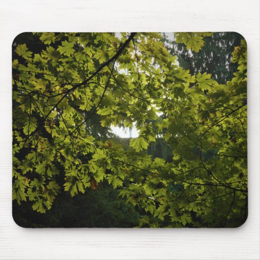 サンスルーグリーン葉 マウスパッド (正面)