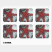 サンズヒトデの珊瑚礁の冠 スクエアシール (シート)