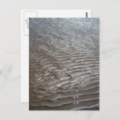 サンズ ポストカード (正面/裏面)