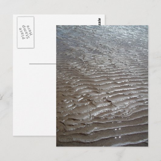 サンズ ポストカード (正面/裏面)