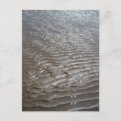 サンズ ポストカード (正面)