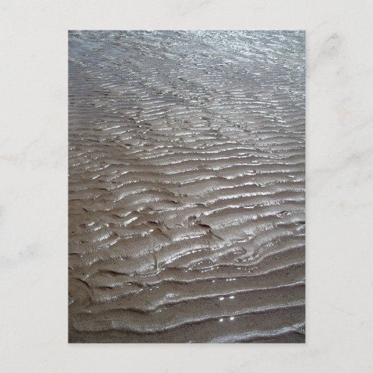 サンズ ポストカード (正面)