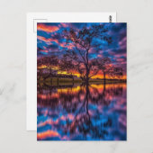 サンセカラフルット ポストカード (正面/裏面)