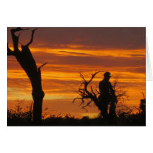 サンセットでの救助者