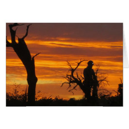 サンセットでの救助者