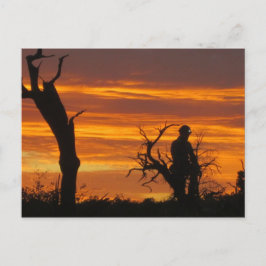 サンセットでの救助者 ポストカード