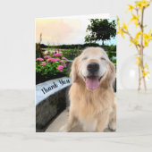 サンセットでの笑顔のゴールデンレトリバーありがとう カード (黄色い花)