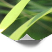 サンセットでキャットテール ポスター (角)